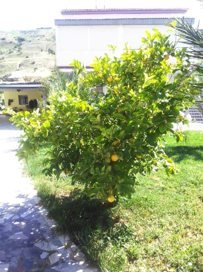 Belle Maison Au Coeur Des Montagnes De Taza A Moins De 10 Minutes De L'Agora Park Villa ภายนอก รูปภาพ